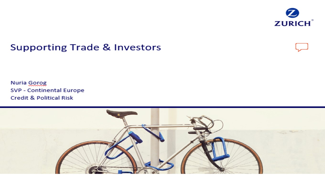 Bring Variety to Export Finance: Supporting Trade & Investors